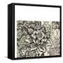 Printed Graphic Chintz II-Chariklia Zarris-Framed Stretched Canvas