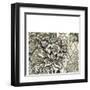 Printed Graphic Chintz II-Chariklia Zarris-Framed Art Print