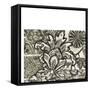 Printed Graphic Chintz IV-Chariklia Zarris-Framed Stretched Canvas