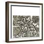 Printed Graphic Chintz IV-Chariklia Zarris-Framed Art Print