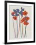 Printed Poppies-Jenny Frean-Framed Giclee Print