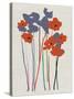 Printed Poppies-Jenny Frean-Stretched Canvas