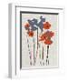 Printed Poppies-Jenny Frean-Framed Giclee Print