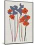 Printed Poppies-Jenny Frean-Mounted Giclee Print