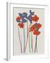 Printed Poppies-Jenny Frean-Framed Giclee Print