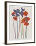 Printed Poppies-Jenny Frean-Framed Giclee Print