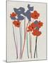 Printed Poppies-Jenny Frean-Mounted Giclee Print