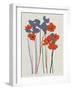 Printed Poppies-Jenny Frean-Framed Giclee Print