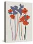 Printed Poppies-Jenny Frean-Stretched Canvas