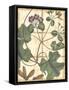 Printed Rustic Garden I-Vision Studio-Framed Stretched Canvas