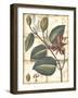 Printed Rustic Garden IV-Vision Studio-Framed Art Print