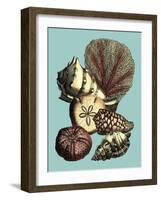 Printed Shell & Coral Collection I-Vision Studio-Framed Art Print