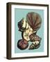 Printed Shell & Coral Collection I-Vision Studio-Framed Art Print