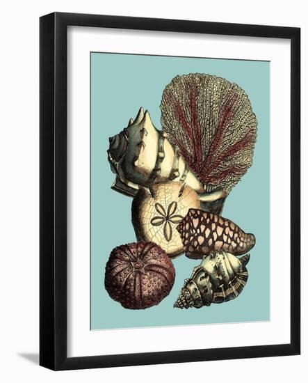 Printed Shell & Coral Collection I-Vision Studio-Framed Art Print