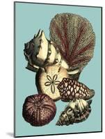 Printed Shell & Coral Collection I-Vision Studio-Mounted Art Print