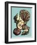 Printed Shell & Coral Collection I-Vision Studio-Framed Art Print