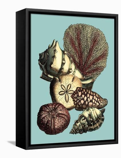 Printed Shell & Coral Collection I-Vision Studio-Framed Stretched Canvas