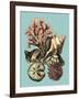 Printed Shell & Coral Collection II-Vision Studio-Framed Art Print