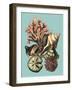 Printed Shell & Coral Collection II-Vision Studio-Framed Art Print