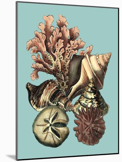 Printed Shell & Coral Collection II-Vision Studio-Mounted Art Print