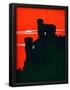Essential Black