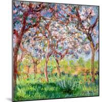 Printemps a Giverny, 1903-Claude Monet-Mounted Premium Giclee Print