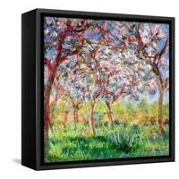 Printemps a Giverny, 1903-Claude Monet-Framed Stretched Canvas