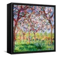 Printemps a Giverny, 1903-Claude Monet-Framed Stretched Canvas