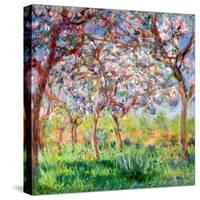 Printemps a Giverny, 1903-Claude Monet-Stretched Canvas