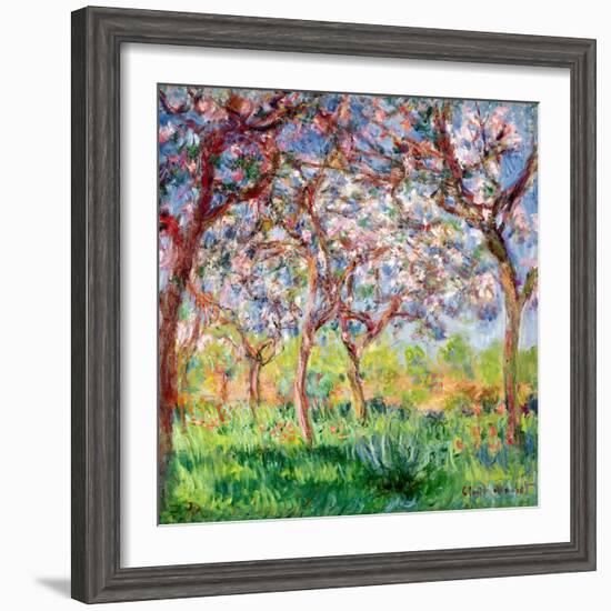 Printemps a Giverny, 1903-Claude Monet-Framed Giclee Print