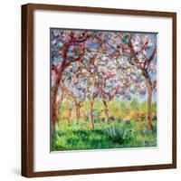 Printemps a Giverny, 1903-Claude Monet-Framed Giclee Print