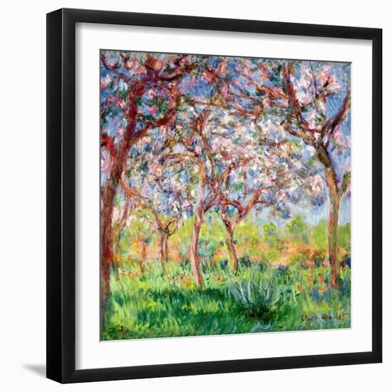 Printemps a Giverny, 1903-Claude Monet-Framed Giclee Print