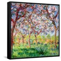 Printemps a Giverny, 1903-Claude Monet-Framed Stretched Canvas