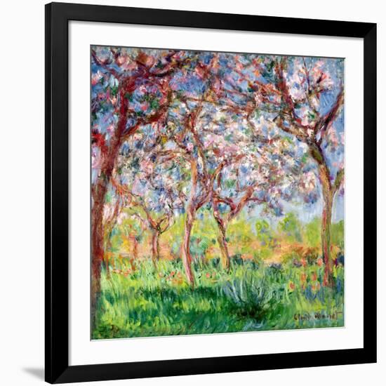 Printemps a Giverny, 1903-Claude Monet-Framed Giclee Print