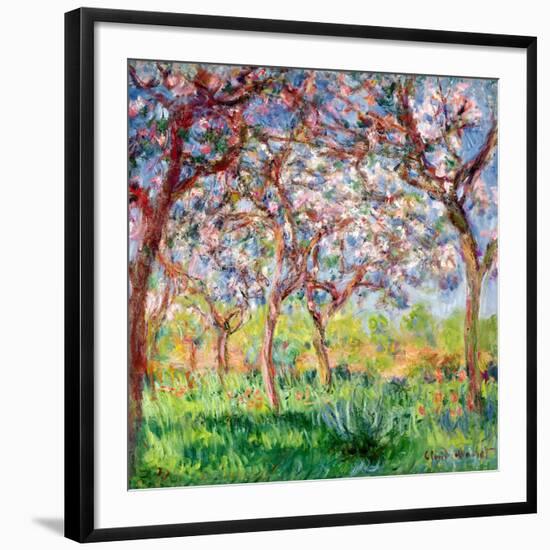 Printemps a Giverny, 1903-Claude Monet-Framed Giclee Print