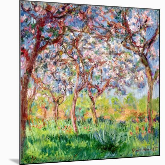 Printemps a Giverny, 1903-Claude Monet-Mounted Giclee Print