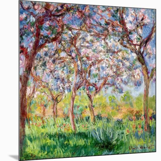 Printemps a Giverny, 1903-Claude Monet-Mounted Giclee Print