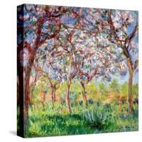 Printemps a Giverny, 1903-Claude Monet-Stretched Canvas