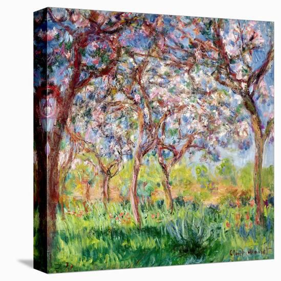 Printemps a Giverny, 1903-Claude Monet-Stretched Canvas