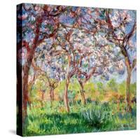 Printemps a Giverny, 1903-Claude Monet-Stretched Canvas