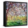 Printemps a Giverny, 1903-Claude Monet-Framed Stretched Canvas