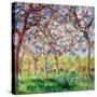Printemps a Giverny, 1903-Claude Monet-Stretched Canvas