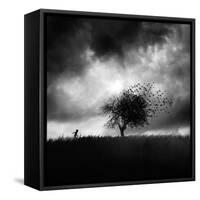 Printemps Perdu-Sebastien Del Grosso-Framed Stretched Canvas