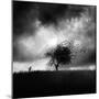 Printemps Perdu-Sebastien Del Grosso-Mounted Photographic Print