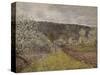 Printemps pluvieux aux environs de Paris-Alfred Sisley-Stretched Canvas