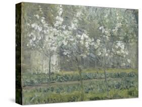 Printemps. Pruniers en fleurs, dit : Potager, arbres en fleurs, printemps, Pontoise-Camille Pissarro-Stretched Canvas