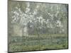 Printemps. Pruniers en fleurs, dit : Potager, arbres en fleurs, printemps, Pontoise-Camille Pissarro-Mounted Giclee Print