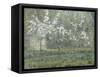 Printemps. Pruniers en fleurs, dit : Potager, arbres en fleurs, printemps, Pontoise-Camille Pissarro-Framed Stretched Canvas