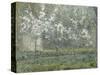 Printemps. Pruniers en fleurs, dit : Potager, arbres en fleurs, printemps, Pontoise-Camille Pissarro-Stretched Canvas