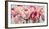 Printemps-Cynthia Ann-Framed Art Print